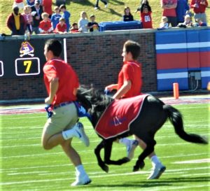 110919-08_live-smu-mustang-mascot-runs_more-cutline_almyatt-DSC_0459 – Copy